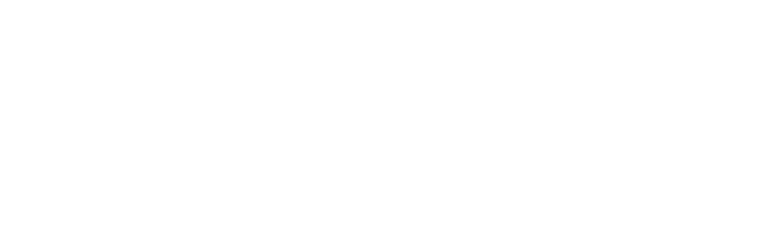 IVAO