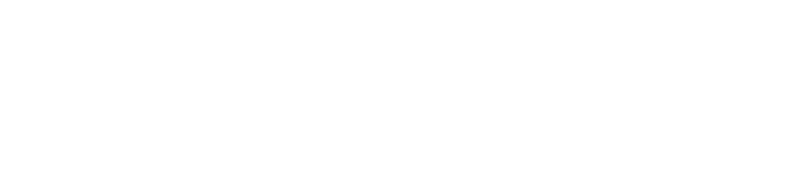 Microsoft Flight Simulator