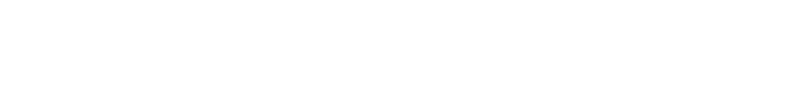 SimBrief