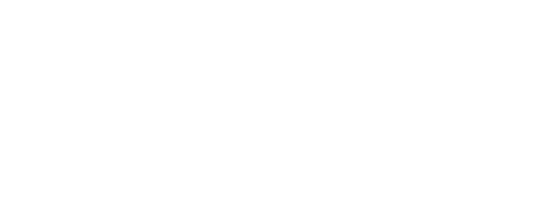 VATSIM